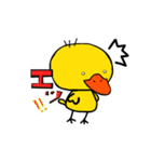 Duckling（個別スタンプ：12）