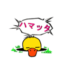 Duckling（個別スタンプ：36）