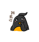 Penguin (Love-U Taiwan)（個別スタンプ：12）