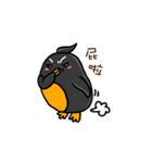 Penguin (Love-U Taiwan)（個別スタンプ：21）