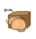 A Lazy Cat (Chinese Ver.)（個別スタンプ：13）