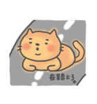 A Lazy Cat (Chinese Ver.)（個別スタンプ：37）