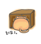 A Lazy Cat (Chinese Ver.)（個別スタンプ：38）