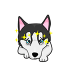 Buggy Husky（個別スタンプ：25）