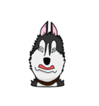 Buggy Husky（個別スタンプ：35）