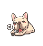 French Bulldog-PIGU（個別スタンプ：1）