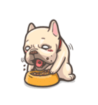 French Bulldog-PIGU（個別スタンプ：22）