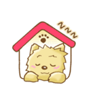 ヨークシャー・テリア     犬スタンプ（個別スタンプ：19）