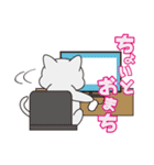 ねこのロジャー（個別スタンプ：13）