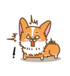 CORGIKICK（個別スタンプ：7）