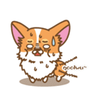 CORGIKICK（個別スタンプ：16）