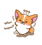 CORGIKICK（個別スタンプ：17）