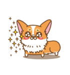 CORGIKICK（個別スタンプ：18）