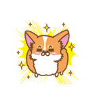 CORGIKICK（個別スタンプ：25）