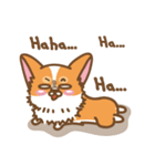 CORGIKICK（個別スタンプ：31）