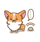 CORGIKICK（個別スタンプ：34）