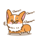 CORGIKICK（個別スタンプ：35）