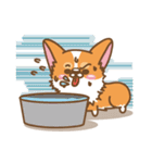 CORGIKICK（個別スタンプ：38）