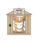 CORGIKICK（個別スタンプ：39）