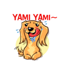 Longhaired Dachshund（個別スタンプ：16）