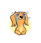 Longhaired Dachshund（個別スタンプ：23）