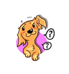 Longhaired Dachshund（個別スタンプ：26）