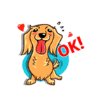 Longhaired Dachshund（個別スタンプ：27）