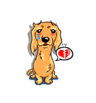 Longhaired Dachshund（個別スタンプ：35）