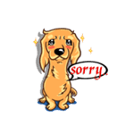 Longhaired Dachshund（個別スタンプ：37）