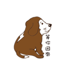 Love Beagle dog（個別スタンプ：27）