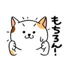 気弱な猫ちゃん（個別スタンプ：11）