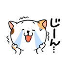 気弱な猫ちゃん（個別スタンプ：22）