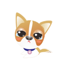 Dog-Chihuahua（個別スタンプ：2）