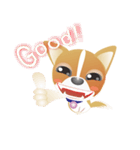 Dog-Chihuahua（個別スタンプ：8）