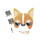 Dog-Chihuahua（個別スタンプ：12）