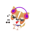 Dog-Chihuahua（個別スタンプ：14）