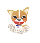 Dog-Chihuahua（個別スタンプ：16）