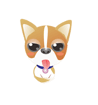 Dog-Chihuahua（個別スタンプ：18）