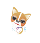 Dog-Chihuahua（個別スタンプ：22）