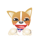 Dog-Chihuahua（個別スタンプ：23）