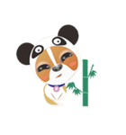 Dog-Chihuahua（個別スタンプ：24）