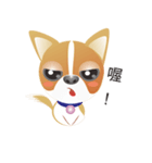 Dog-Chihuahua（個別スタンプ：29）