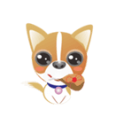 Dog-Chihuahua（個別スタンプ：31）