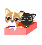 Dog-Chihuahua（個別スタンプ：36）