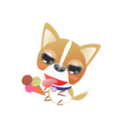 Dog-Chihuahua（個別スタンプ：37）