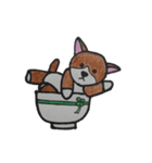 どんぶり犬 Coo(クー)（個別スタンプ：14）