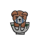 どんぶり犬 Coo(クー)（個別スタンプ：19）