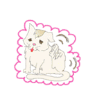 Sweet  Cats（個別スタンプ：24）