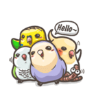 Happy Parrot（個別スタンプ：31）