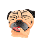 SihWun's Pug World (Part.1)（個別スタンプ：13）